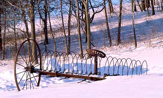 Winter Scene at Hawk's Cry Farm